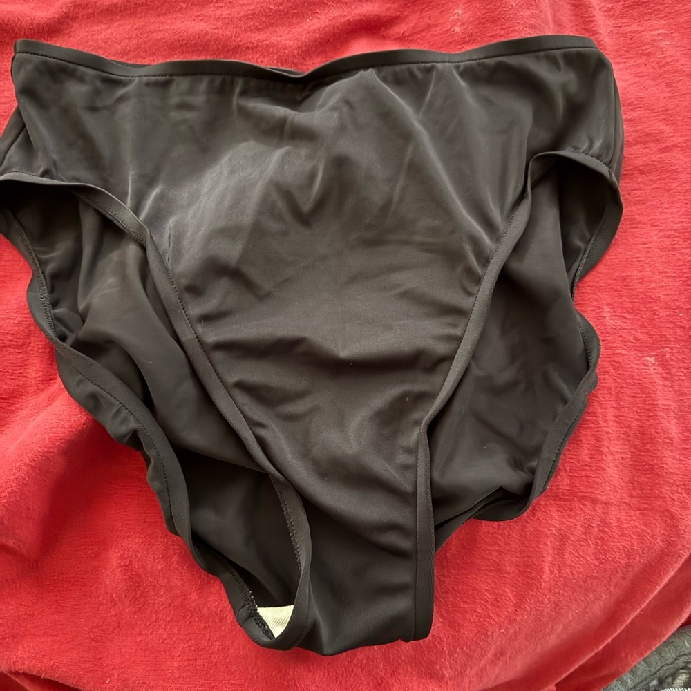Brown Bikini Brief Swim Bottom sz 16
NWOT. Never worn.